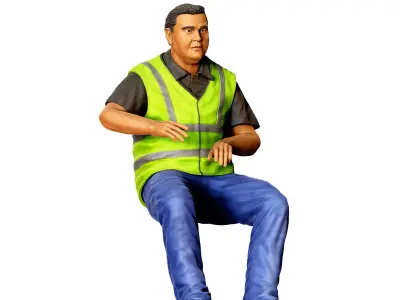 N2 Truck Driver 3D print model
