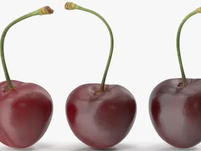 Cherries 3D model purchase