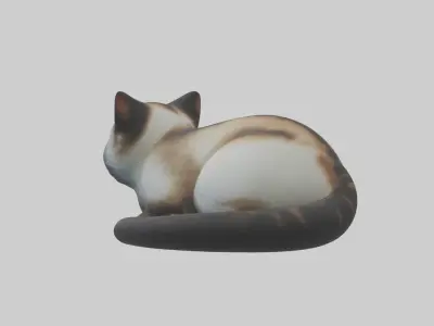 Iriomote Cat resting model Low-poly 3D model