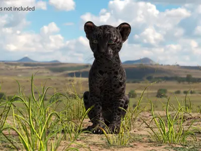 Black Leopard Cub Sitting Pose 3D model