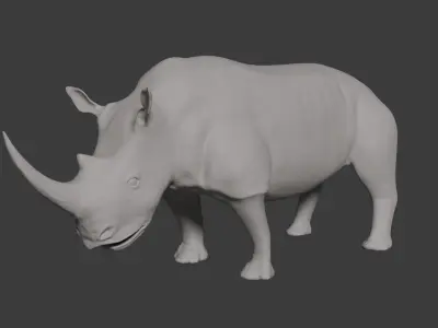 African White Rhino 3D model  3D model