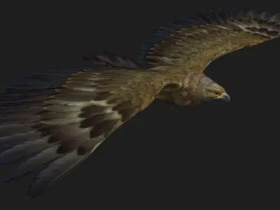 Eagle-B1 3D model