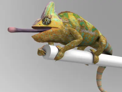 Chameleon Color 3D model