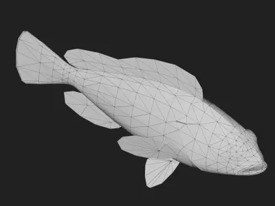 Bass fish Low-poly 3D model 2