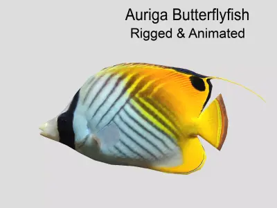 Auriga Butterflyfish Realistic Animated Low-poly 3D model