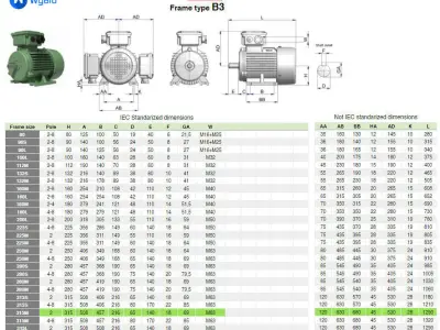 315M B3 Left 2 Pole IEC electric motor - 3D CAD model 3D model