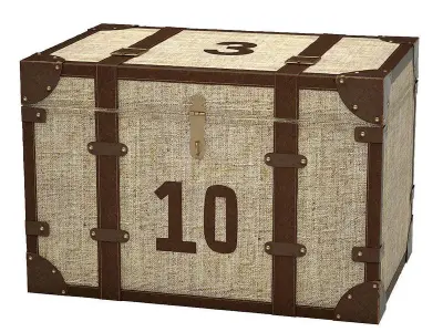 Male Chest 3D model