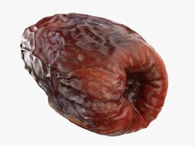 Date Collection 3D model