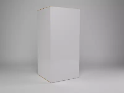 Mockup cardboard 02 3D model