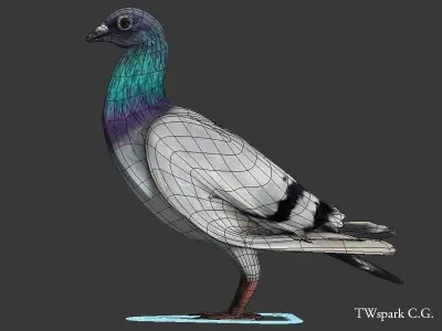 Pigeon Rigged Low-poly 3D model