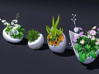 floriculture Flowers cylinder commercial design 3D model