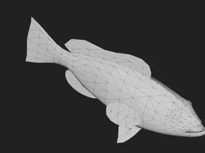 Bass fish Low-poly 3D model 6