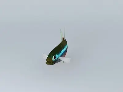 Neon tetra fish Free 3D model purchase