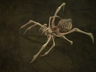 Spider 5 with long legs Low-poly 3D model