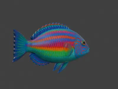 Wrasse Fish 3D model