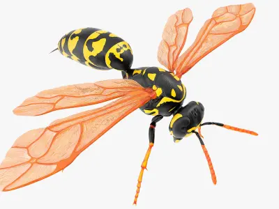Paper Wasp Rigged for Maya 3D model