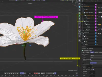 Realistic Jasmine Flower Bloom Animation 3D model