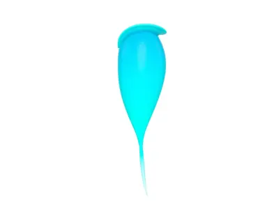 Mermaid Tail 3D model