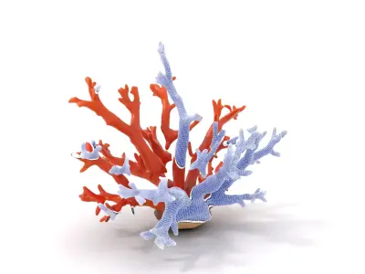 Vibrant Coral Reef model pack Low-poly 3D model