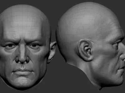 Free 3D model Head  Free 3D model