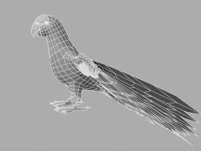 Green Parrot 3D model purchase