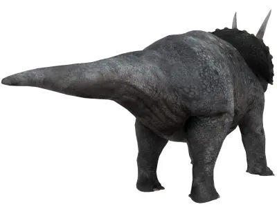 triceratops dinosaur Low-poly 3D model 3
