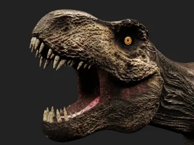 Tyrannosaurus Rex Low-poly 3D model 15
