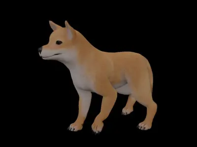 Floki Dog Low-poly 3D model