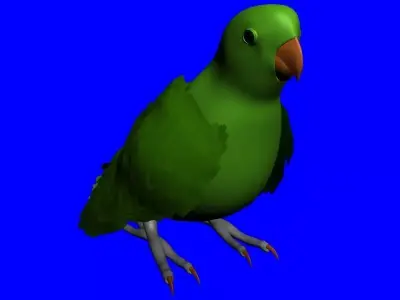 Parrot Low-poly 3D model get