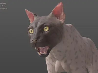 Groom Ready Iberian Lynx with Texture Maps Animation Topology UDIMs Bones and Muscles 3D model