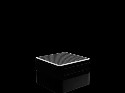 SAFE CASE Free 3D model