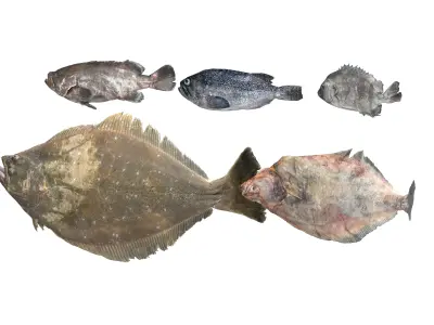 Seafood Shops Pack 01 3D model