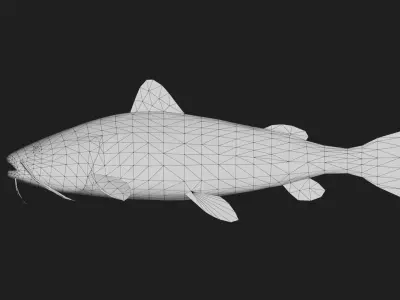 Catfish Low-poly 3D model purchase