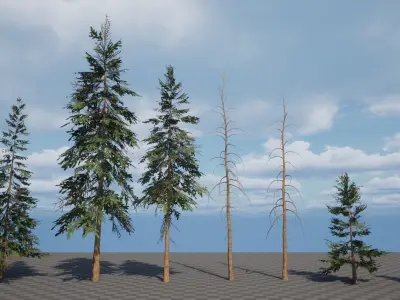 Optimized Nature Collection 3D Model Pack