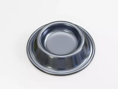 Pet Bowl Bowl Low-poly 3D model