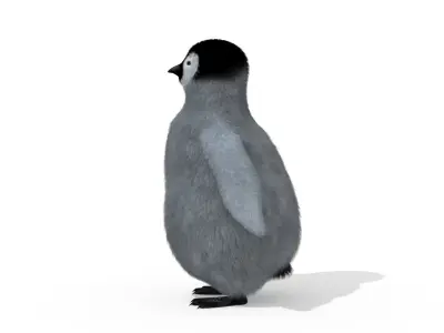 Penguin 3D model shop