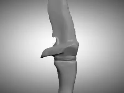 Knife shark 3D model