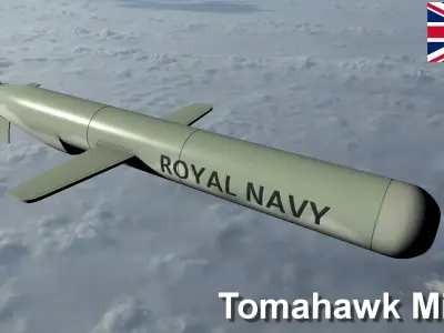 Tomahawk Missile Low-poly 3D model