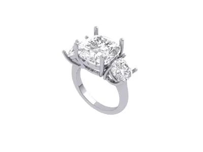 Cushion Ring 3D print model order