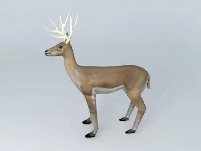 Deer with rack Free 3D model