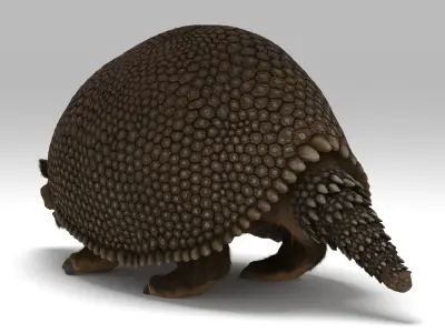 Glyptodon 3D model