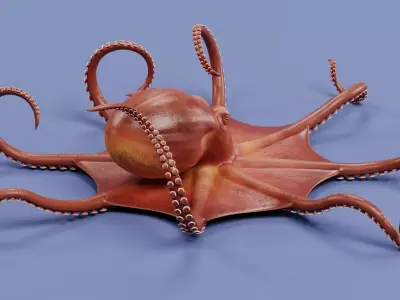 -Giant Pacific Octopus Rigged and Animated- 3D model