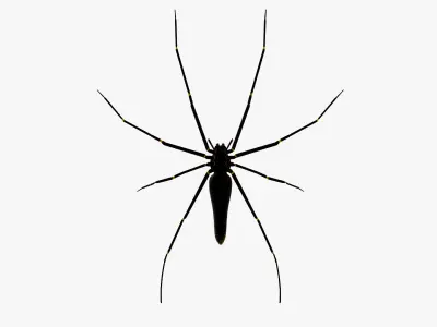 Goldern Web Spider Low-poly 3D model
