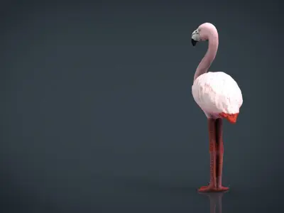 Flamingo Low-poly 3D model buy