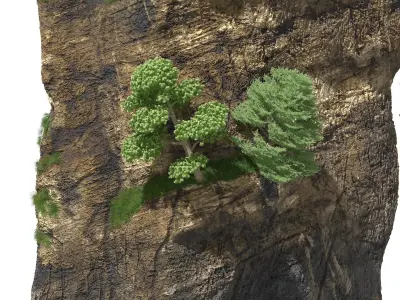 Soaring Forest Cliff 3D model