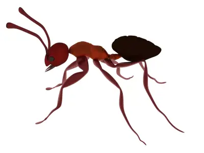 Ant Red 3D model