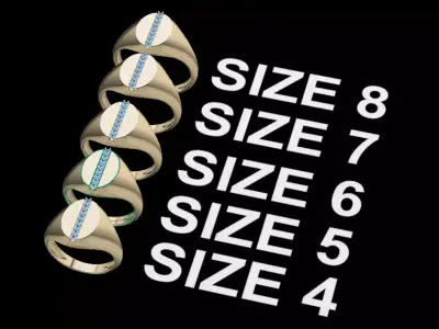 Dainty Signet Ring Diamond Strip Mix Sizes 3D print model