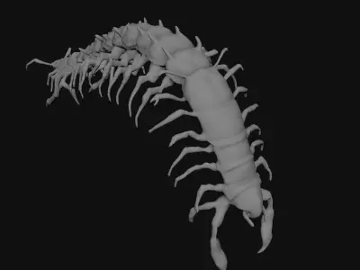Centipede Creature 3D model