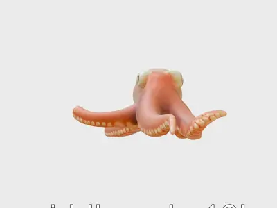 Dumbo Octopus Model with Ear-like Fins and Soft Body Low-poly 3D model