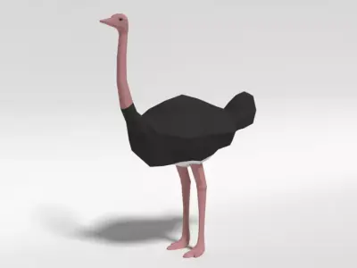 Low Poly Cartoon Ostrich Low-poly 3D model